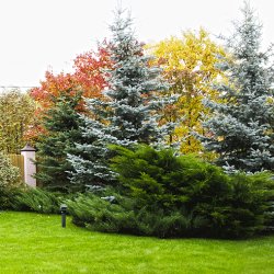 Проект дачного участка 18 соток фото